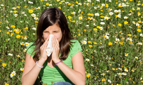 nasal-allergy